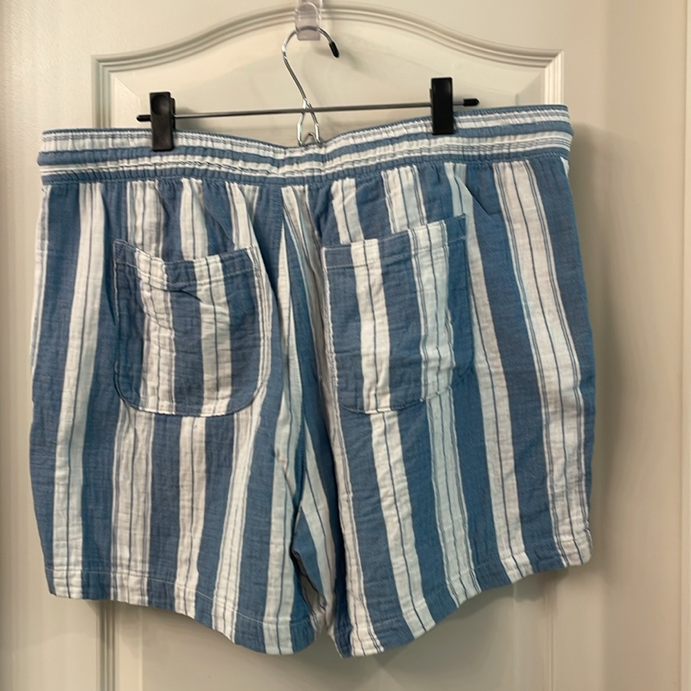 Striped Shorts - Picture 11 of 12
